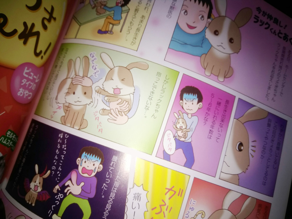 IMG_20190511_142327_20190511142425