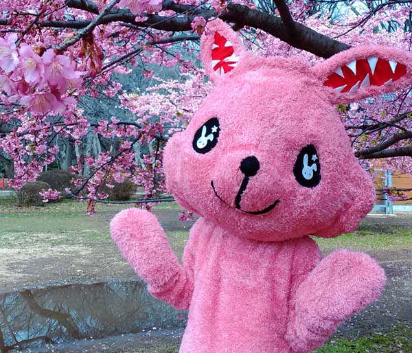 噛み付きウサギ　ガジッ